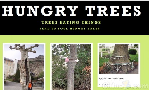 饥饿的的树1.jpg